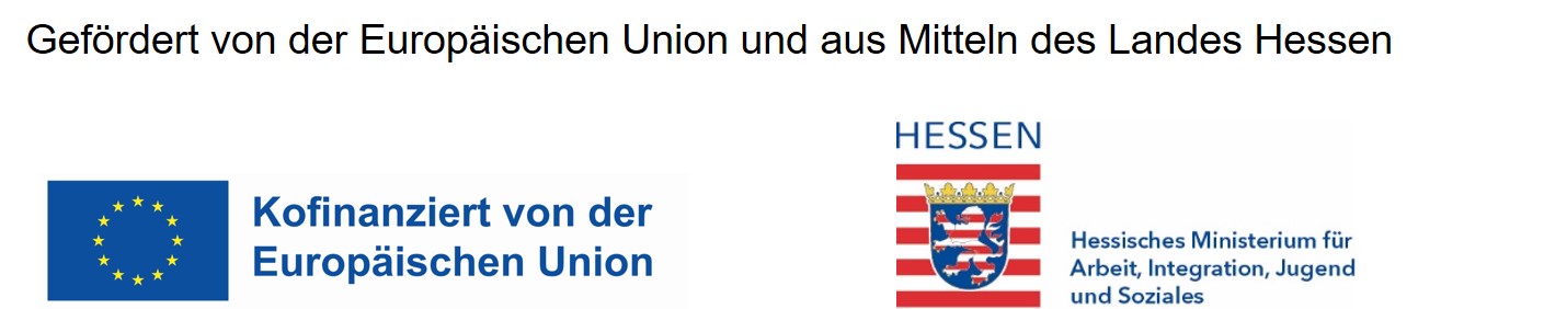 logo eu hmsi data